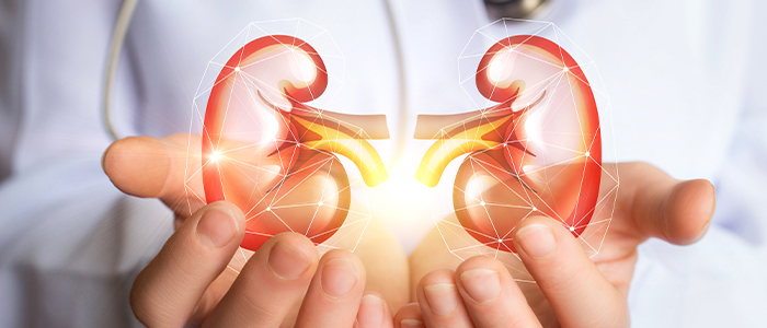 10 Ways to maintain Your Kidney Health
