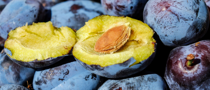 Stone fruit types and benefits