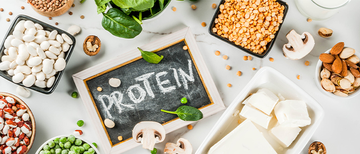 What is Protein: Its uses, function, benefits, requirement