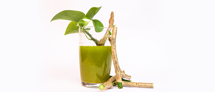 Giloy juice benefits: Recipe, Uses and side effects