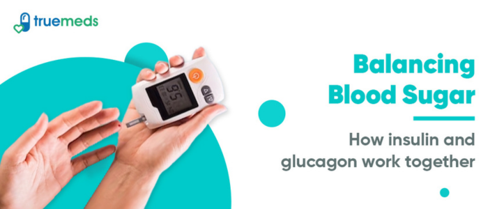 Balancing Blood Sugar: How Insulin and Glucagon Work Together